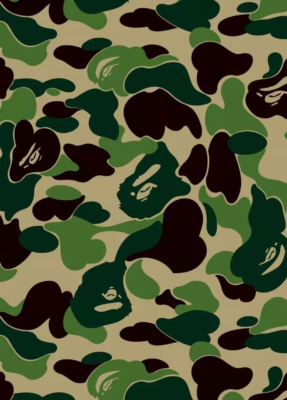 Camouflage Bape (Rectangle) Rug